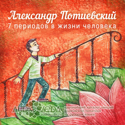 7 периодов в жизни человека